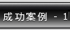 成功案例
